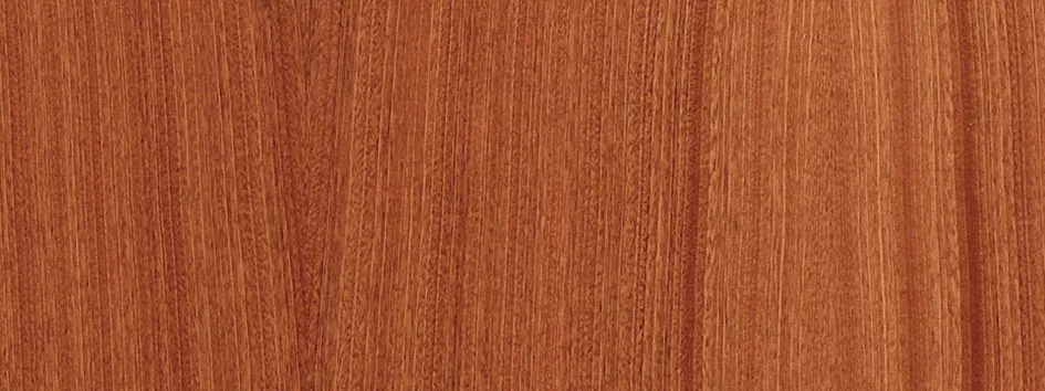 Finition panneau bois lisse Acajou clair - porte blindée Fichet Foxeo S