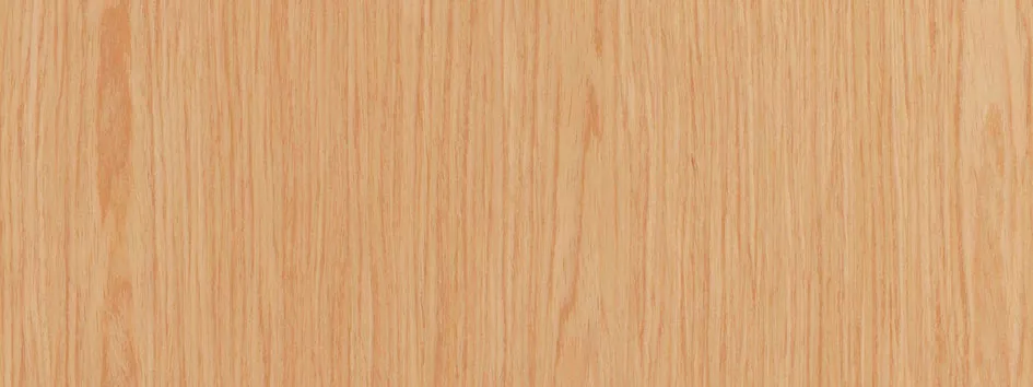 Finition panneau bois lisse Aniégré - porte blindée Fichet Foxeo S