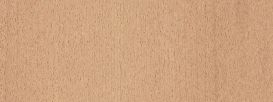 Finition panneau bois lisse Bouleau - porte blindée Fichet Foxeo S